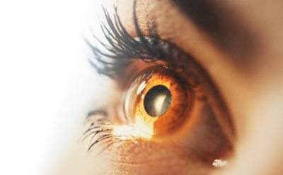 Ophthalmic banner image
