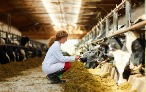 Pharma Insights: 3 trends driving the animal health industry