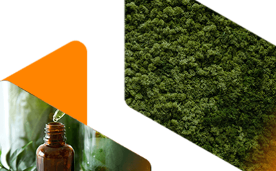 Image de bannière Fournisseur d'huiles de graines végétales bio et issues du commerce équitable