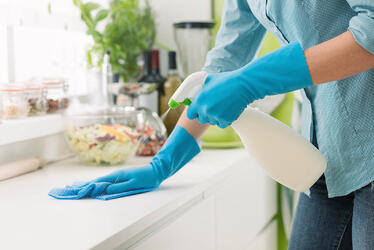 Conscientiously Clean Kit