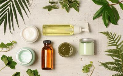 Nature Inspired Emulsion Systems banner image