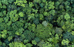 5 Takeaways for Rethinking Sustainability