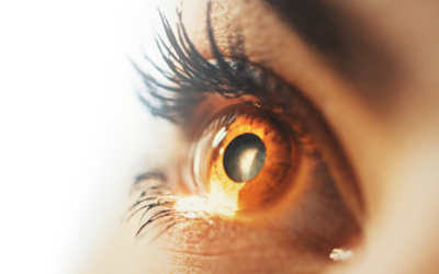 Ophthalmic banner image