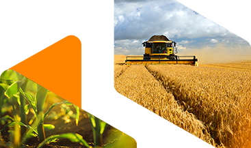 Raw Materials banner image