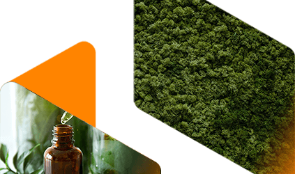 公平贸易 banner image