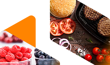 Solutions Center Food Ingredients banner image