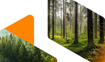 Forestry & Paper Manufacturing Chemical Distributor banner image