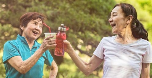 Immune Health banner image