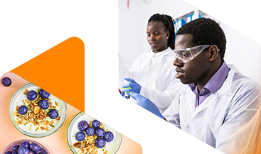 Chemical End Markets banner image