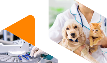 Animal Health Pharmaceutical Ingredient Distributor | Univar Solutions banner image