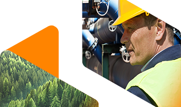 On Site Environmental Services banner image