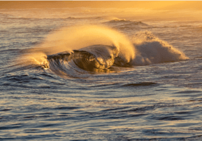 Sea Spray
