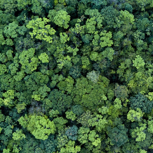 5 Takeaways for Rethinking Sustainability